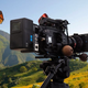 Image for article titled Monarch Butterfly Makes Directorial Debut On ‘Nature’ Episode